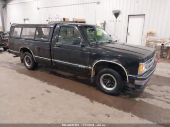  Salvage Chevrolet S Truck