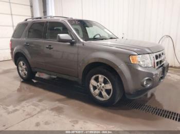  Salvage Ford Escape