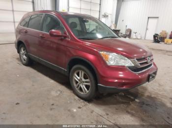  Salvage Honda CR-V