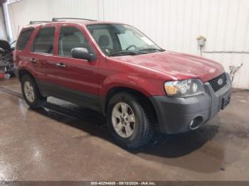  Salvage Ford Escape