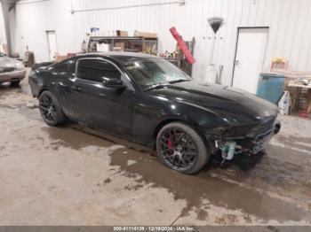  Salvage Ford Mustang