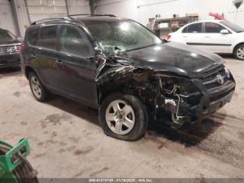  Salvage Toyota RAV4