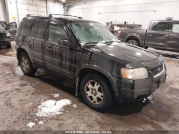  Salvage Ford Escape