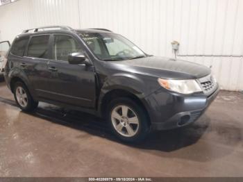  Salvage Subaru Forester