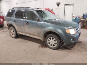  Salvage Ford Escape