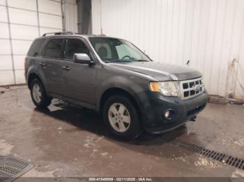  Salvage Ford Escape