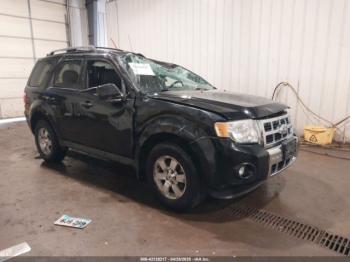  Salvage Ford Escape