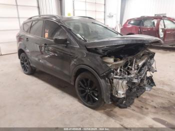  Salvage Ford Escape
