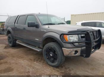  Salvage Ford F-150