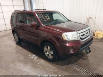  Salvage Honda Pilot