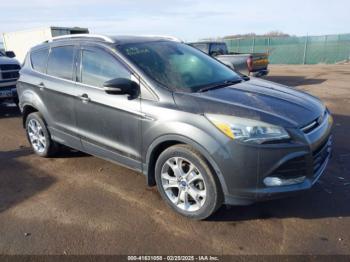  Salvage Ford Escape
