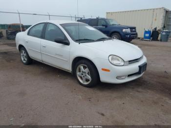  Salvage Dodge Neon