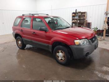  Salvage Ford Escape