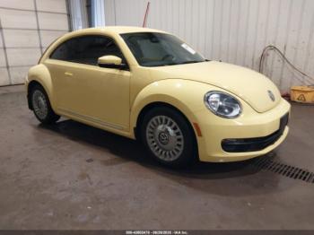  Salvage Volkswagen Beetle
