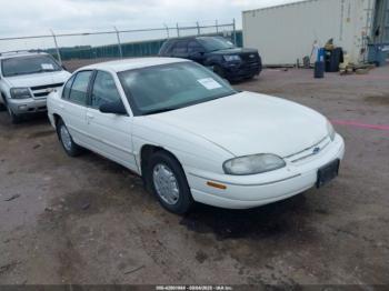  Salvage Chevrolet Lumina