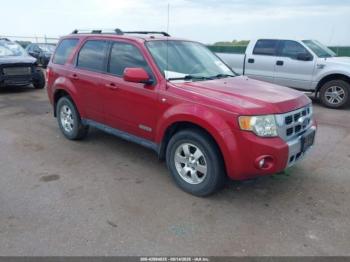  Salvage Ford Escape