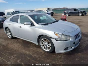  Salvage Nissan Maxima