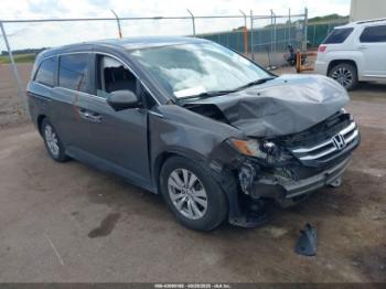  Salvage Honda Odyssey