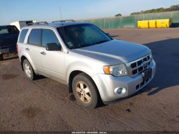  Salvage Ford Escape