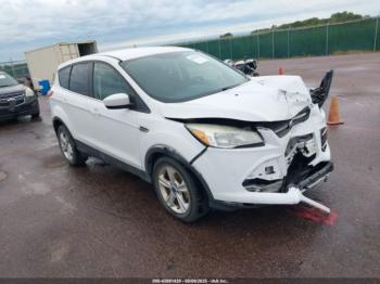  Salvage Ford Escape