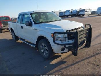  Salvage Ford F-150