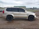 Lexus Gx Image 6