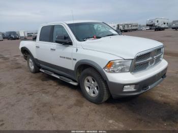  Salvage Ram 1500