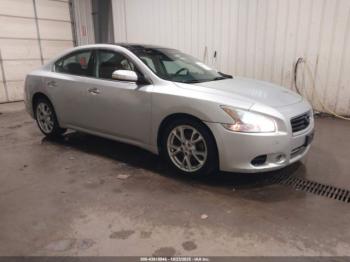  Salvage Nissan Maxima