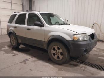  Salvage Ford Escape
