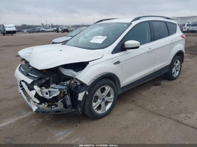 Ford Escape Se Image 7