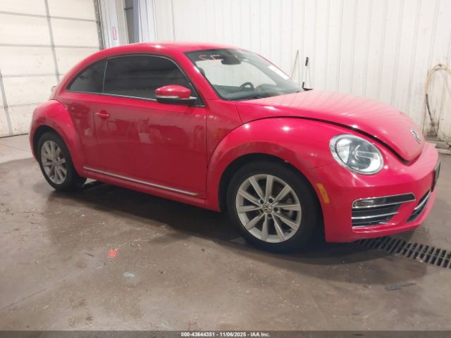 Volkswagen Beetle Image 1
