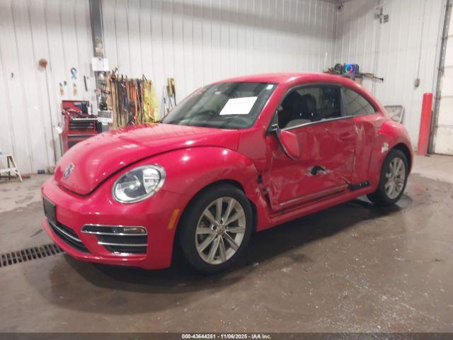 Volkswagen Beetle Image 8