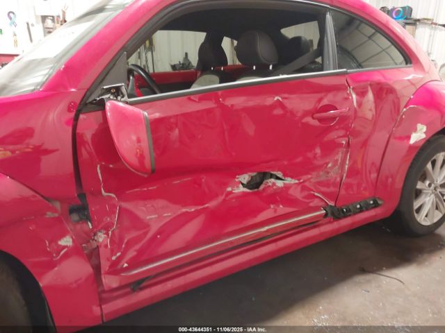 Volkswagen Beetle Image 12