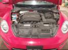 Volkswagen Beetle Image 4
