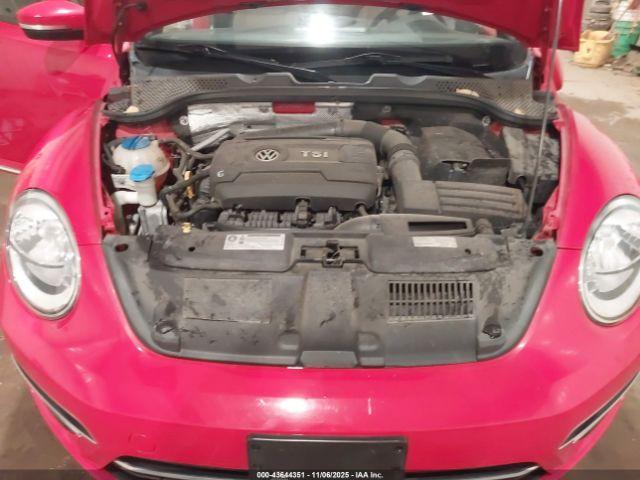 Volkswagen Beetle Image 4