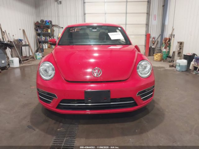 Volkswagen Beetle Image 14