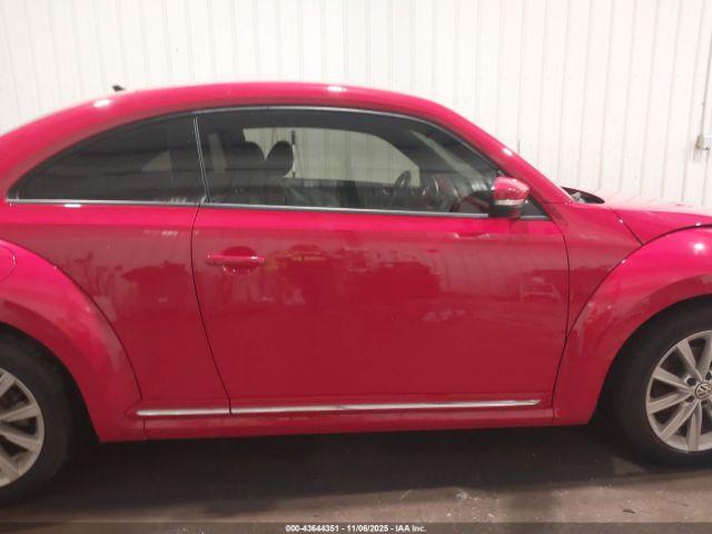 Volkswagen Beetle Image 7