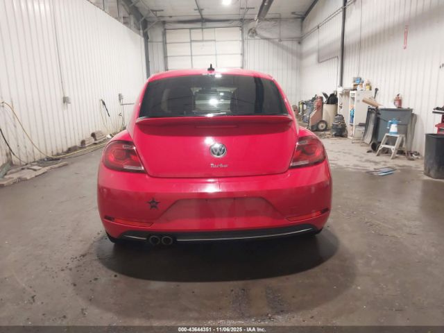 Volkswagen Beetle Image 13