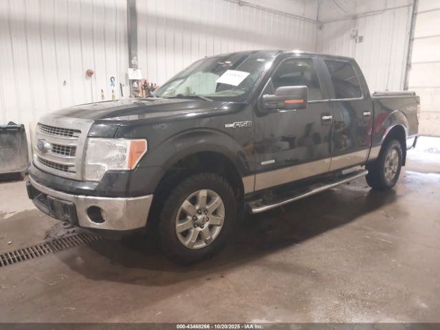 Ford F-150 Xlt Image 12