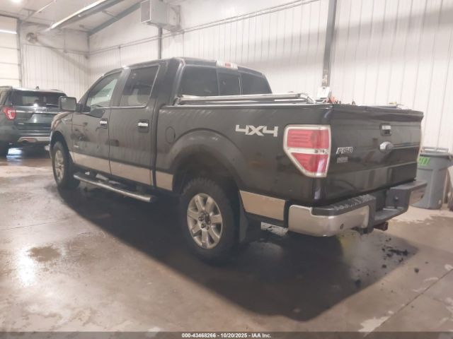 Ford F-150 Xlt Image 4