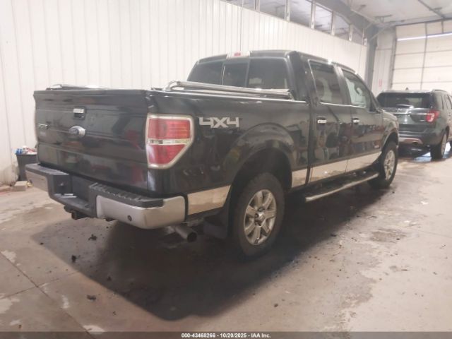 Ford F-150 Xlt Image 2