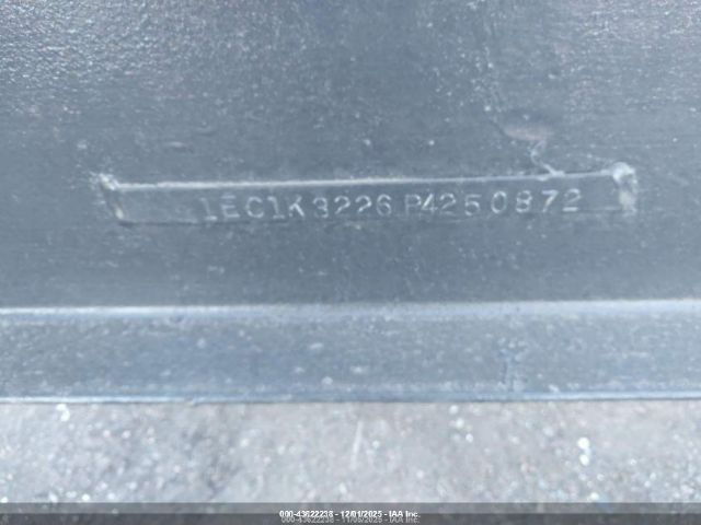 Sylvan Other Image 11