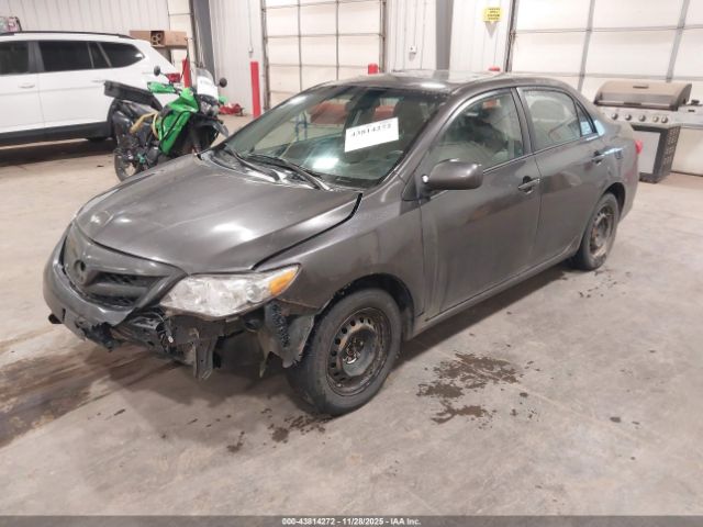 Toyota Corolla Le Image 2