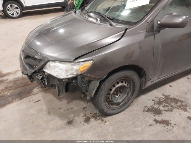 Toyota Corolla Le Image 5