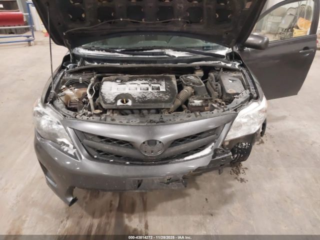 Toyota Corolla Le Image 11