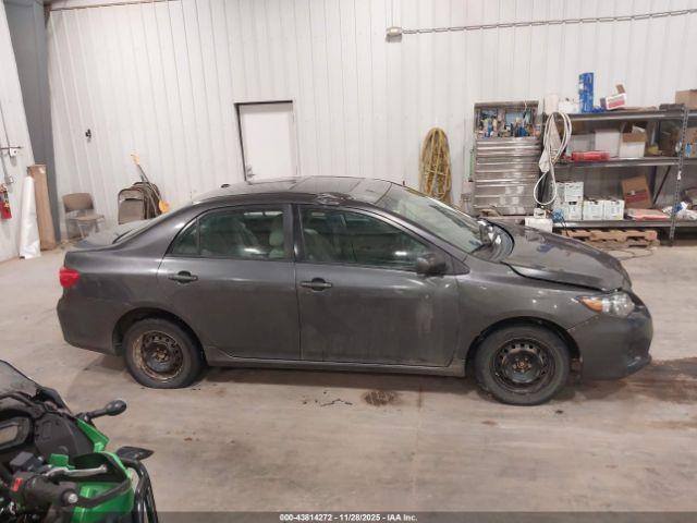 Toyota Corolla Le Image 16