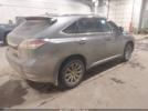 Lexus RX Image 5