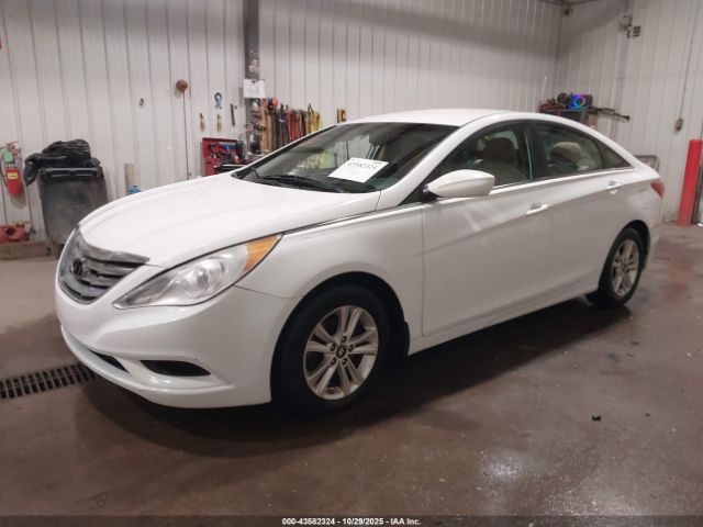 Hyundai SONATA Gls Image 7