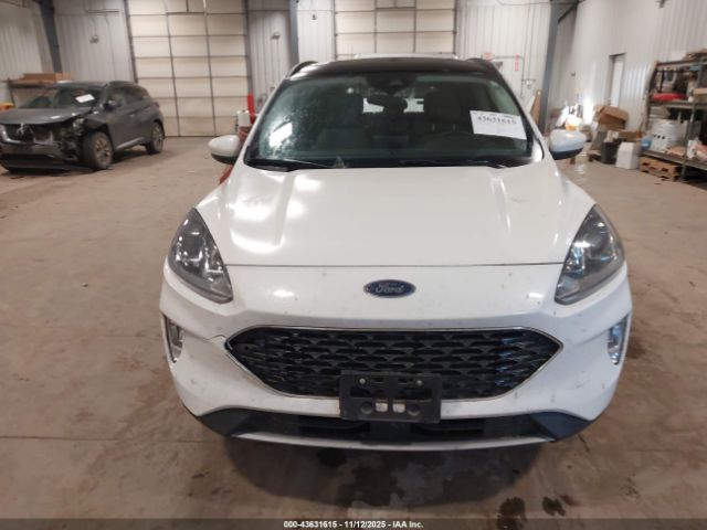 Ford Escape Sel Image 7