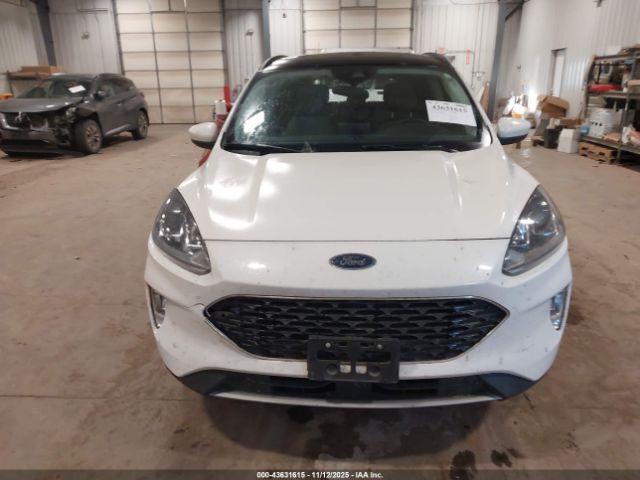 Ford Escape Sel Image 7